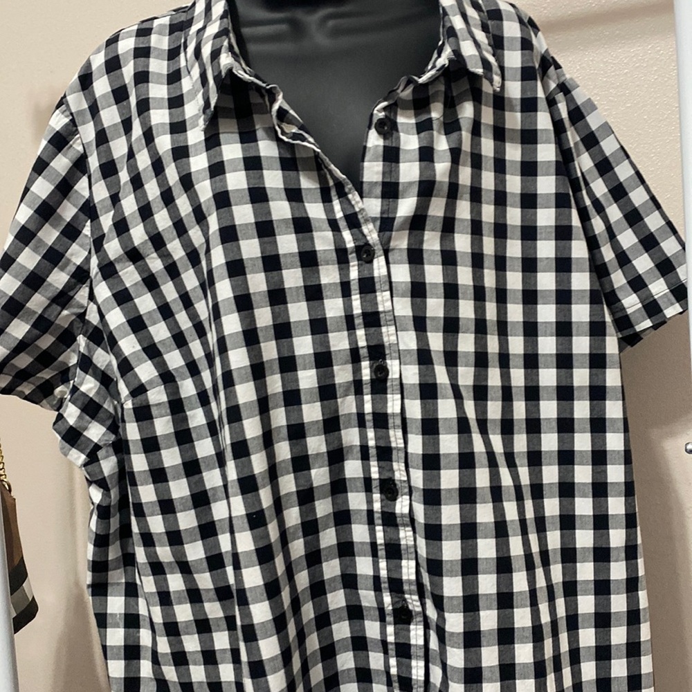 Plus size Women within short sleeve blouse